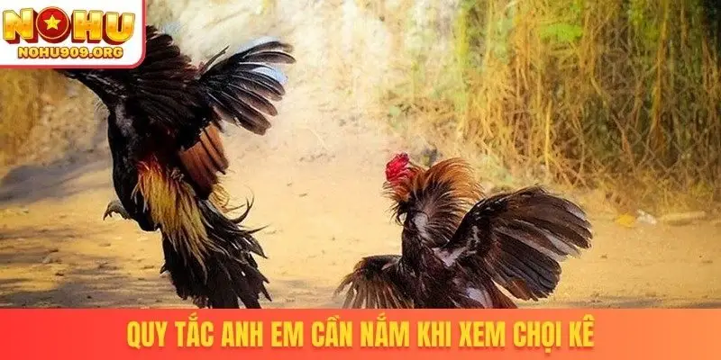 Quy tắc anh em cần nắm khi xem chọi kê