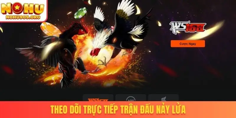 Theo dõi trực tiếp trận đấu nảy lửa